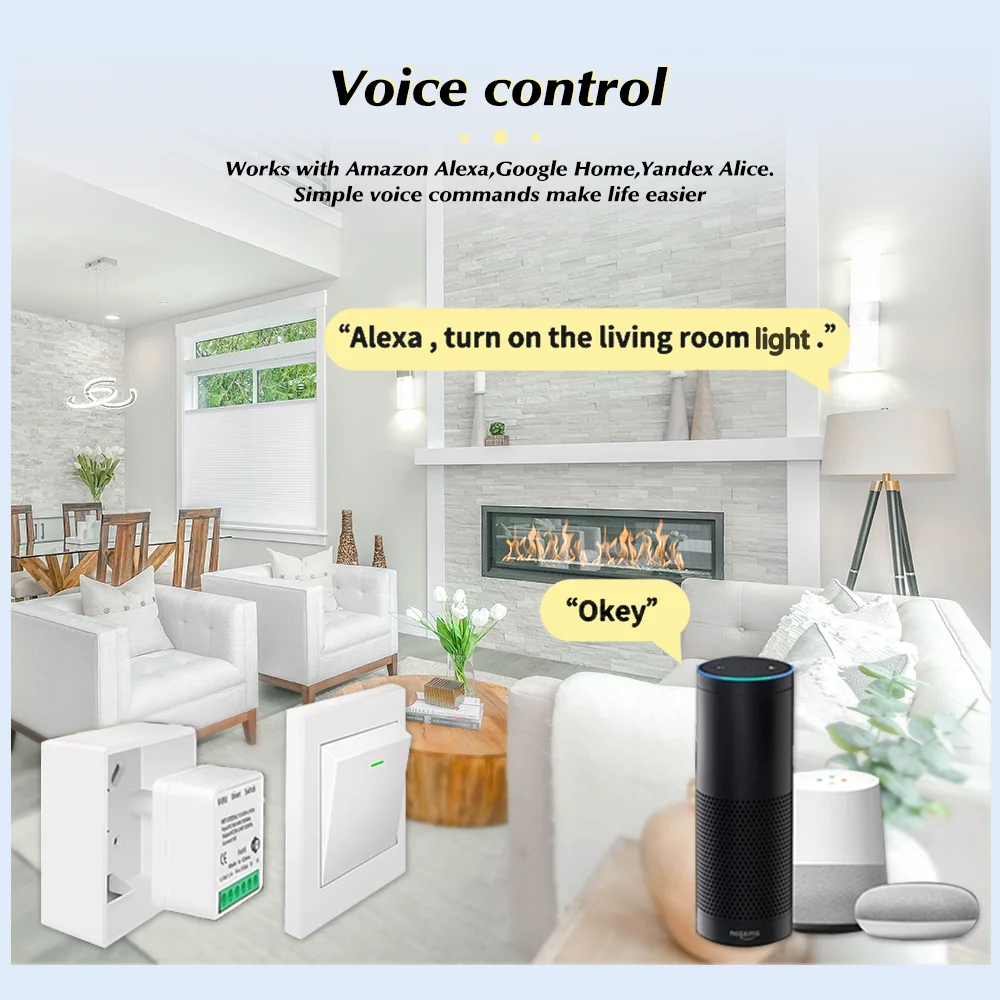 For Tuya Mini Smart WiFi Switc – Diy Home Automation Controller Bewertung und Preis