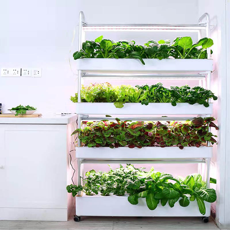ydroponic Planting System Smar – Home Automation System Diy Bewertung und Preis
