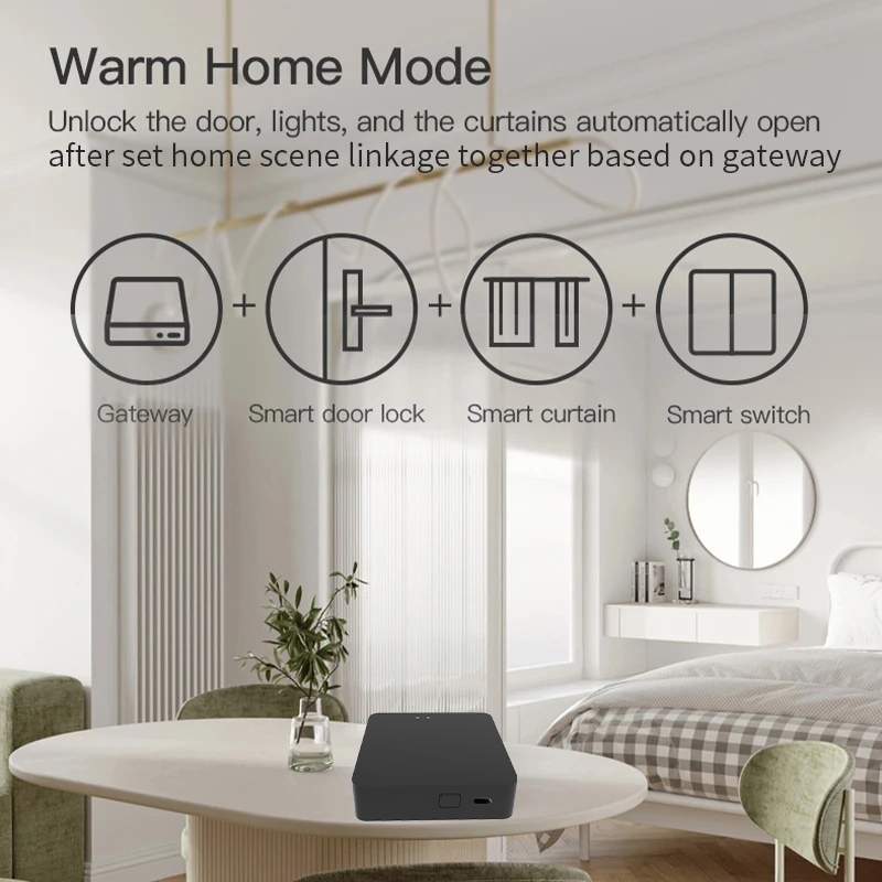 Work with Tuya Smart Zigbee+ B – Diy Home Automation Hub Bewertung und Preis